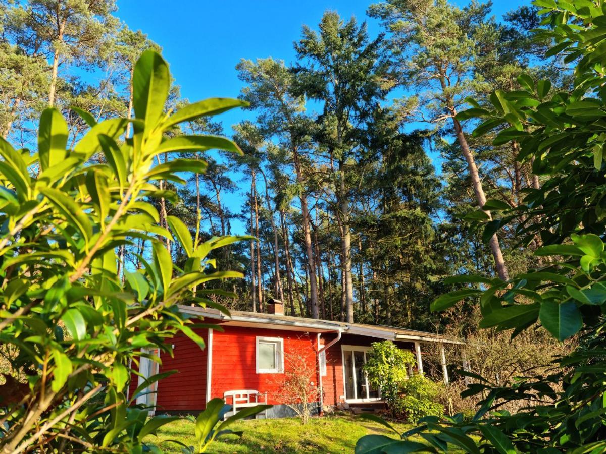 Waldhaus Doetlingen Ferienhaus Im Naturpark Extérieur photo