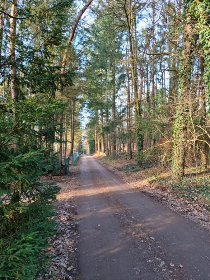 Waldhaus Doetlingen Ferienhaus Im Naturpark Extérieur photo
